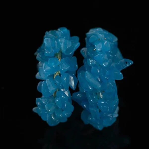 Blue Chip Circle Earrings