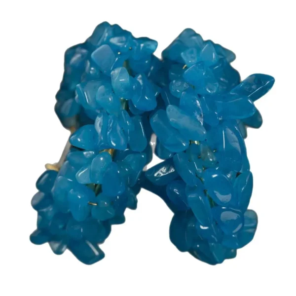 Blue Chip Circle Earrings
